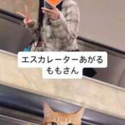 ヒメ日記 2026/03/22 22:24 投稿 もも 新感覚恋活ソープもしも彼女が○○だったら・・・福岡中州本店
