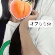 ヒメ日記 2026/04/01 09:41 投稿 もも 新感覚恋活ソープもしも彼女が○○だったら・・・福岡中州本店