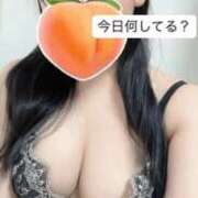 ヒメ日記 2026/04/01 10:21 投稿 もも 新感覚恋活ソープもしも彼女が○○だったら・・・福岡中州本店