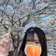 ヒメ日記 2026/04/02 22:51 投稿 もも 新感覚恋活ソープもしも彼女が○○だったら・・・福岡中州本店