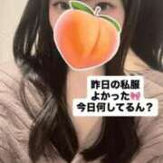 ヒメ日記 2026/04/03 11:50 投稿 もも 新感覚恋活ソープもしも彼女が○○だったら・・・福岡中州本店