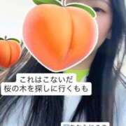 ヒメ日記 2026/04/06 14:31 投稿 もも 新感覚恋活ソープもしも彼女が○○だったら・・・福岡中州本店