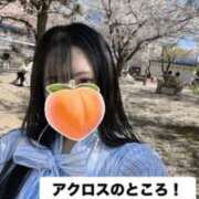 ヒメ日記 2026/04/07 22:24 投稿 もも 新感覚恋活ソープもしも彼女が○○だったら・・・福岡中州本店