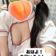 ヒメ日記 2026/04/08 09:21 投稿 もも 新感覚恋活ソープもしも彼女が○○だったら・・・福岡中州本店