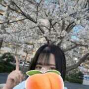 ヒメ日記 2026/04/09 11:04 投稿 もも 新感覚恋活ソープもしも彼女が○○だったら・・・福岡中州本店