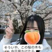 ヒメ日記 2026/04/10 23:45 投稿 もも 新感覚恋活ソープもしも彼女が○○だったら・・・福岡中州本店