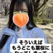 ヒメ日記 2026/04/12 22:21 投稿 もも 新感覚恋活ソープもしも彼女が○○だったら・・・福岡中州本店