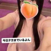 ヒメ日記 2026/04/17 14:31 投稿 もも 新感覚恋活ソープもしも彼女が○○だったら・・・福岡中州本店