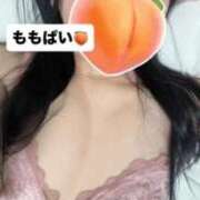 ヒメ日記 2026/05/01 19:39 投稿 もも 新感覚恋活ソープもしも彼女が○○だったら・・・福岡中州本店