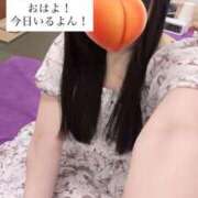 ヒメ日記 2026/08/07 15:01 投稿 もも 新感覚恋活ソープもしも彼女が○○だったら・・・福岡中州本店