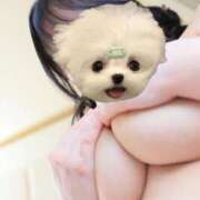 ヒメ日記 2025/02/23 17:22 投稿 ♡まつり♡ 梅田ムチぽよ女学院