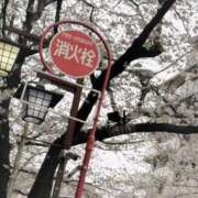 ヒメ日記 2025/04/03 17:50 投稿 そら RED BERYL～レッドベリル～