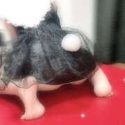 ヒメ日記 2025/08/31 02:23 投稿 夢花 OLアロマ Office Love-オフィスラブ-