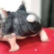 ヒメ日記 2025/11/15 00:33 投稿 夢花 OLアロマ Office Love-オフィスラブ-