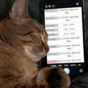 ヒメ日記 2026/05/13 06:53 投稿 ザ・芸術-店内パネルのみ- グッドスマイル