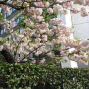 ヒメ日記 2025/03/20 14:07 投稿 ちはや 新宿スピン