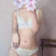 ちはや 出勤しました！ 新宿スピン