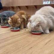 ヒメ日記 2025/06/26 13:44 投稿 沖田まり☆贅沢なひとときを ESTE ALLURE