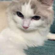 ヒメ日記 2025/09/03 19:24 投稿 沖田まり☆贅沢なひとときを ESTE ALLURE