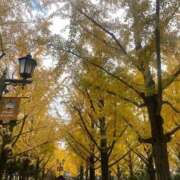 ヒメ日記 2025/11/25 13:44 投稿 沖田まり☆贅沢なひとときを ESTE ALLURE