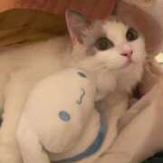 ヒメ日記 2025/12/27 22:34 投稿 沖田まり☆贅沢なひとときを ESTE ALLURE