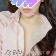 ヒメ日記 2025/04/08 14:18 投稿 麗加 みさき 30代40代50代と遊ぶなら博多人妻専科24時