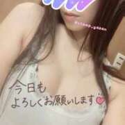 ヒメ日記 2025/06/09 15:10 投稿 麗加 みさき 30代40代50代と遊ぶなら博多人妻専科24時