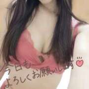 ヒメ日記 2025/06/16 15:44 投稿 麗加 みさき 30代40代50代と遊ぶなら博多人妻専科24時