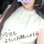 ヒメ日記 2025/07/19 16:06 投稿 麗加 みさき 30代40代50代と遊ぶなら博多人妻専科24時