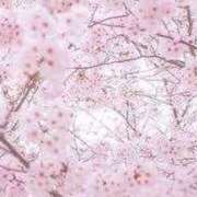 ヒメ日記 2025/03/27 12:32 投稿 新口 錦糸町おかあさん