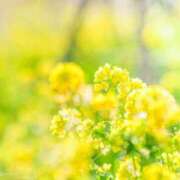 ヒメ日記 2025/04/03 13:40 投稿 新口 錦糸町おかあさん