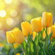 ヒメ日記 2025/04/28 14:50 投稿 新口 錦糸町おかあさん