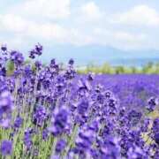 ヒメ日記 2025/05/15 19:50 投稿 新口 錦糸町おかあさん