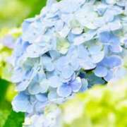 ヒメ日記 2025/06/15 12:40 投稿 新口 錦糸町おかあさん