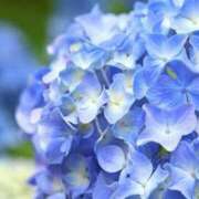 ヒメ日記 2025/06/15 15:00 投稿 新口 錦糸町おかあさん