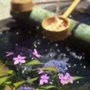 ヒメ日記 2025/07/31 12:30 投稿 新口 錦糸町おかあさん