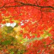 ヒメ日記 2025/10/30 21:20 投稿 新口 錦糸町おかあさん