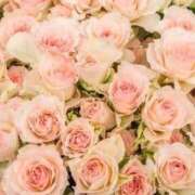 ヒメ日記 2025/11/06 19:00 投稿 新口 錦糸町おかあさん