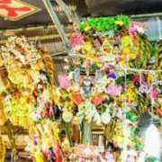 ヒメ日記 2025/11/24 09:00 投稿 新口 錦糸町おかあさん