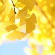 ヒメ日記 2025/12/01 15:20 投稿 新口 錦糸町おかあさん