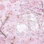 ヒメ日記 2026/03/26 08:50 投稿 新口 錦糸町おかあさん