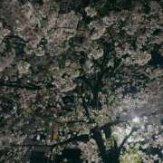 ヒメ日記 2025/04/05 21:56 投稿 うみ 錦糸町人妻ヒットパレード（シンデレラグループ）