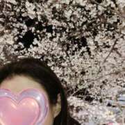 ヒメ日記 2025/04/05 13:22 投稿 西岡 まゆこ 大阪貴楼館