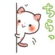 ヒメ日記 2025/05/19 14:42 投稿 さり 人妻㊙︎倶楽部