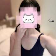 ヒメ日記 2025/11/10 12:07 投稿 すい かりんと秋葉原