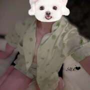 ヒメ日記 2026/02/27 19:41 投稿 すい かりんと秋葉原