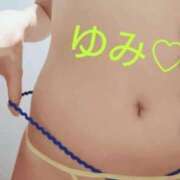 ヒメ日記 2025/04/12 10:48 投稿 ゆみ 奥様メモリアル