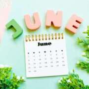 ヒメ日記 2025/05/27 17:27 投稿 ゆみ 奥様メモリアル