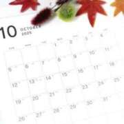 ヒメ日記 2025/09/29 19:57 投稿 ゆみ 奥様メモリアル