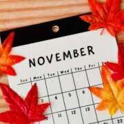 ヒメ日記 2025/11/06 11:18 投稿 ゆみ 奥様メモリアル